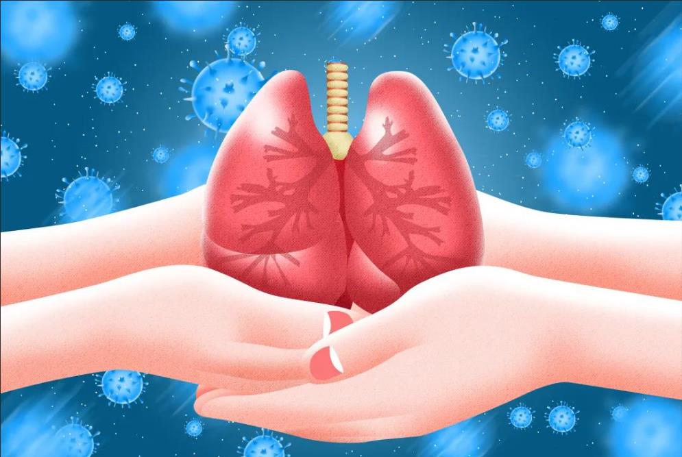Q1肺癌是什么？肺腺癌、小细胞肺癌又是什